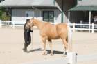 sep2014kentuckyhorseparkdsc05317_small.jpg