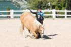 sep2014kentuckyhorseparkdsc05323_small.jpg