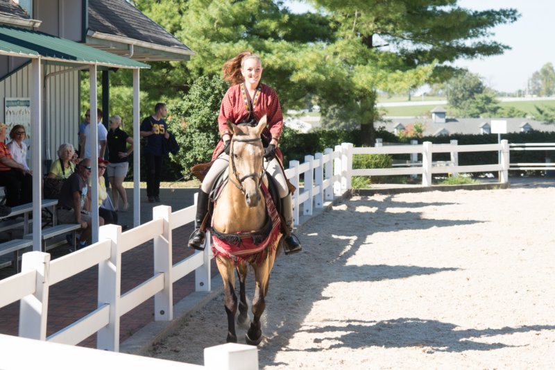 sep2014kentuckyhorseparkdsc05332.jpg