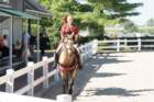 sep2014kentuckyhorseparkdsc05332_small.jpg