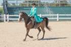 sep2014kentuckyhorseparkdsc05344_small.jpg