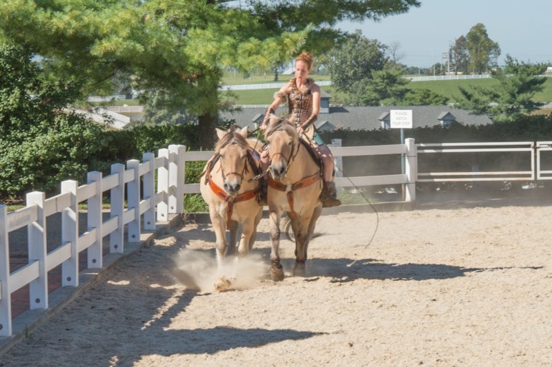 sep2014kentuckyhorseparkdsc05347.jpg