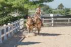 sep2014kentuckyhorseparkdsc05347_small.jpg