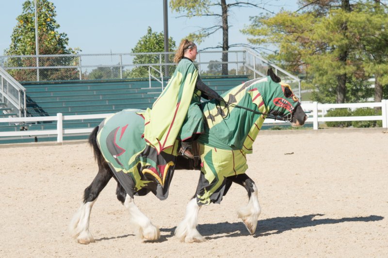 sep2014kentuckyhorseparkdsc05372.jpg