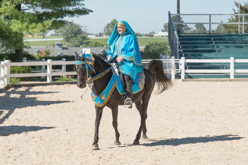 sep2014kentuckyhorseparkdsc05382.jpg