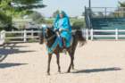 sep2014kentuckyhorseparkdsc05382_small.jpg