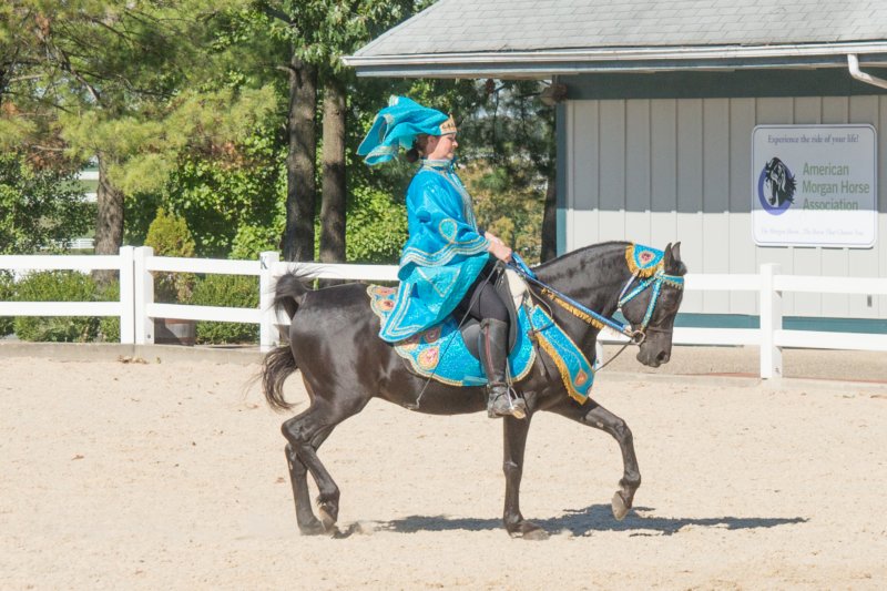 sep2014kentuckyhorseparkdsc05384.jpg