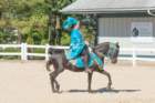 sep2014kentuckyhorseparkdsc05384_small.jpg