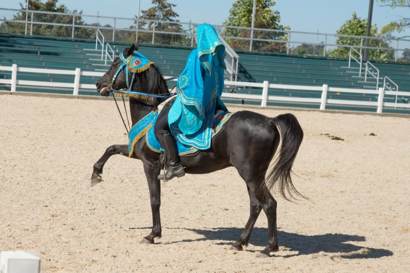 sep2014kentuckyhorseparkdsc05391.jpg