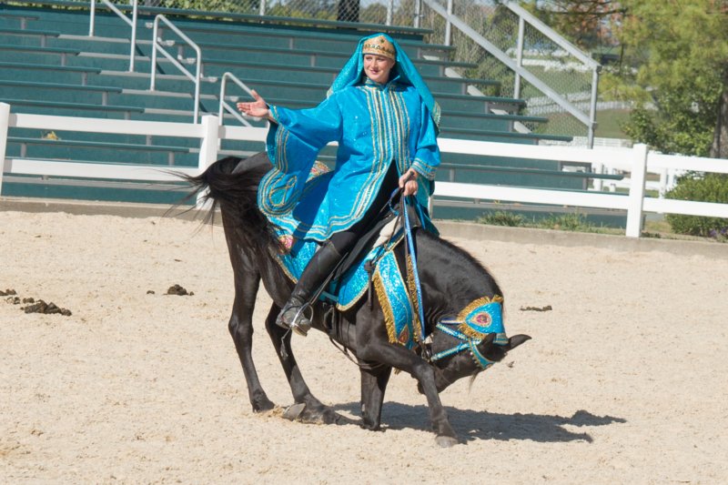 sep2014kentuckyhorseparkdsc05393.jpg