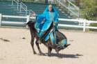 sep2014kentuckyhorseparkdsc05393_small.jpg