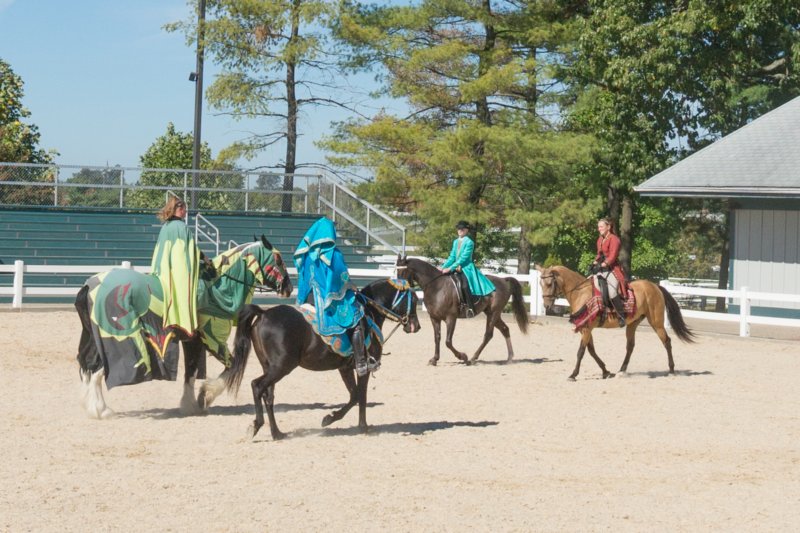 sep2014kentuckyhorseparkdsc05400.jpg