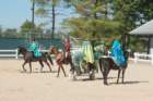 sep2014kentuckyhorseparkdsc05411_small.jpg