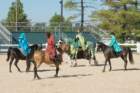 sep2014kentuckyhorseparkdsc05421_small.jpg