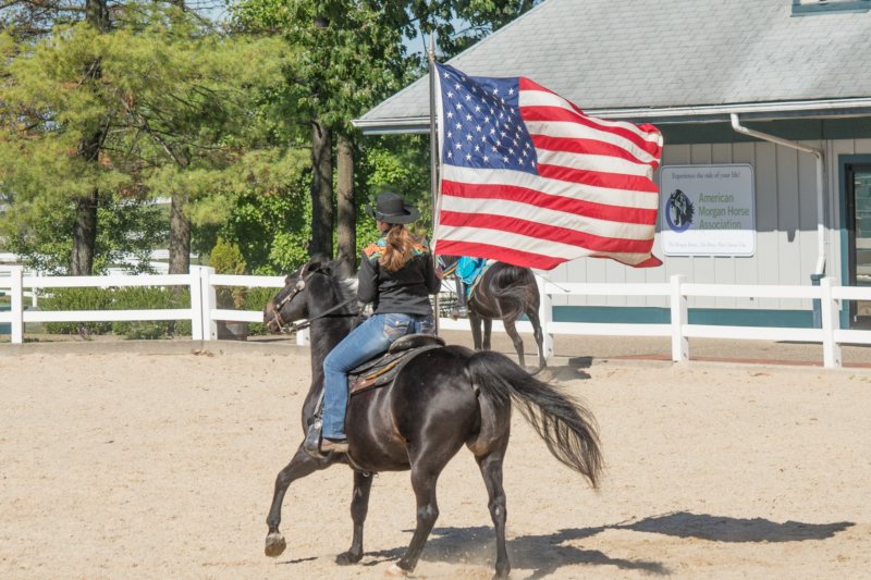 sep2014kentuckyhorseparkdsc05443.jpg