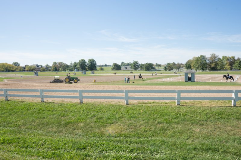 sep2014kentuckyhorseparkdsc05449.jpg