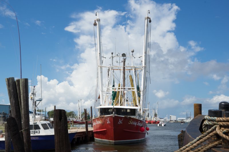 sep2014manteofishermanswharfroanoakeislandouterbanksncdsc04494.jpg