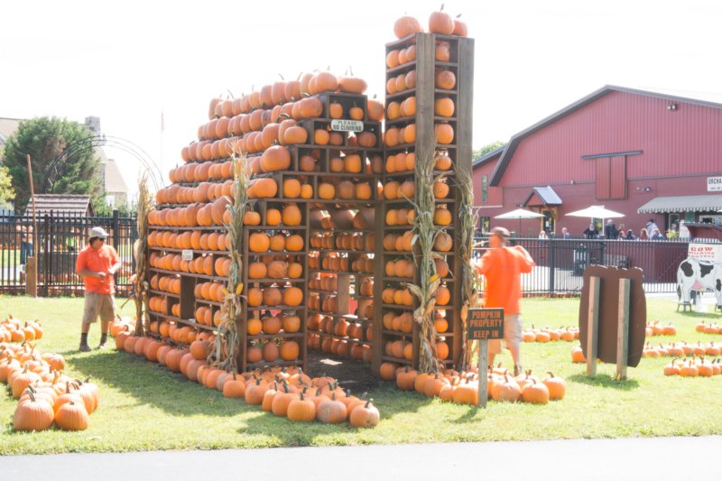 sep2014pumpkinhouseatmilburnorchardselktonmddsc04705.jpg