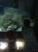 _vincent_10685_small.jpg