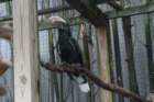 dsc07459_small.jpg