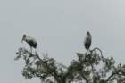dsc07469_small.jpg