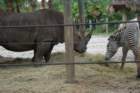 dsc07477_small.jpg