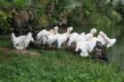 dsc07488_small.jpg