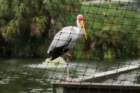 dsc07491_small.jpg