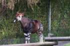 dsc07494_small.jpg